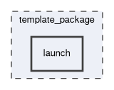 template_package/launch